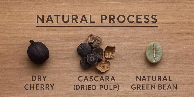 Ethiopian coffee export quality control - natural process Arabica coffee drying